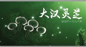 大汉灵芝 始创于1996