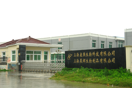 上海菇新加工单位厂区