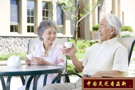 灵芝孢子粉的功效与作用适宜中老年养生保健