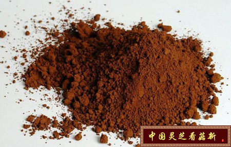 富含灵芝孢子油而结块